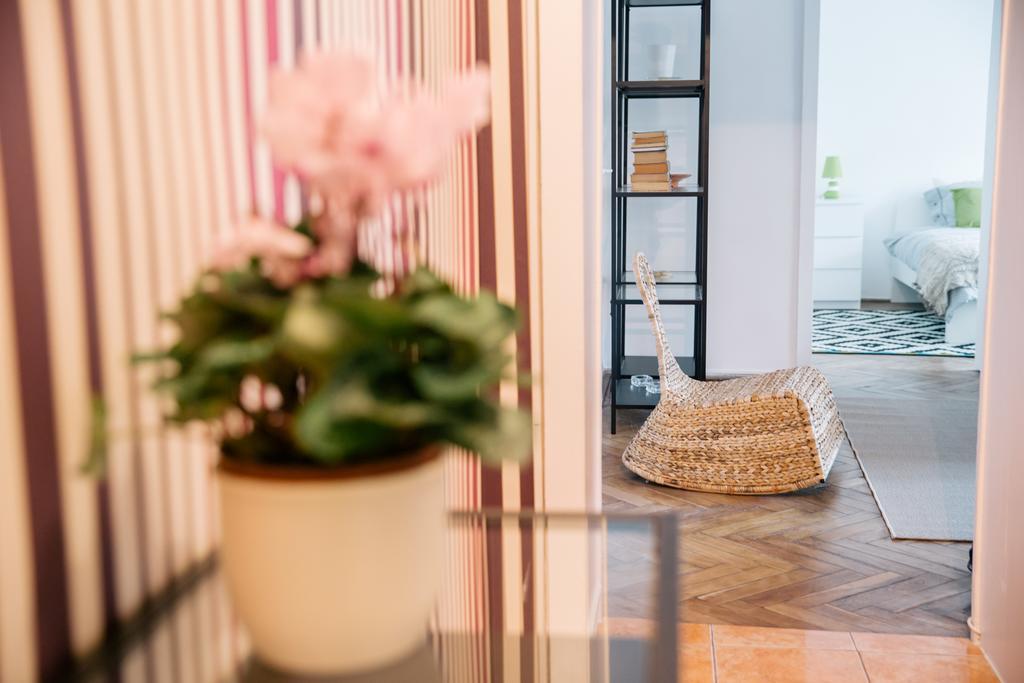 Neo Apartment Horea Cluj-Napoca Exteriör bild